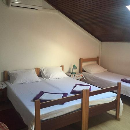 Crveno Zlato Hotel Biograd Na Moru Eksteriør billede
